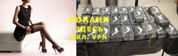 бошки Арсеньев