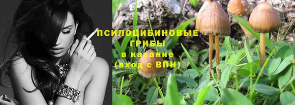 apvp Алексин