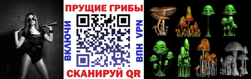 Псилоцибиновые грибы прущие грибы Бодайбо